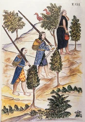 Motilones-indianer som ska jaga, från boken "Trujillo del Peru" eller "Códice Martínez Compañón", av Baltazar Martinez Compañón y Bujanda, biskop av Trujillo (1782-1785)