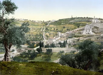 Oljeberget och Getsemani, Jerusalem. Fotokrom mellan 1890-1900.
