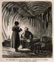 En natt i magen på en val välkomnas författaren under sin resa i en boer, fiskares hem, vars ram och möbler är gjorda av skelettet av den enorma valen och av skinn från sälar, hästar och hundar. Gravyr för att illustrera vo