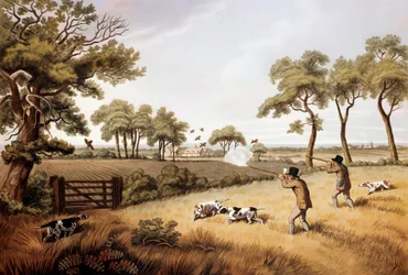 Rapphönsjaktscen: 1800-talslitografi Gien, jaktmuseum