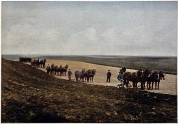 Plöjning i Manitobaslätten (Kanada), sent 1800-tal