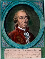 Porträtt av George Louis Le Clerc, greve av Buffon (1707-1788), fransk naturforskare och författare. Gravyr av 1700-talet. Privat samling.