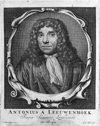 Porträtt av den holländska handlaren och forskaren Antoine van Leeuwenhoek (eller Leeuvenhoek Leeuwenhoeck) (eller Antoni eller Anthonie) (1632-1723) Gravyr från "Investigatio Arcanorum" 1722.