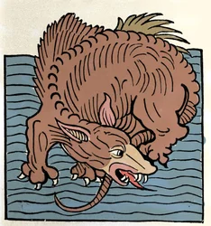 Representation av ett marint monster. Gravyr från "Hortus Sanitatis""