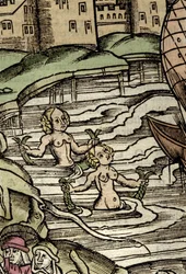 Representation av sirener. 1500-talsgravyr