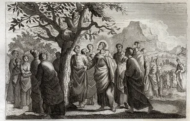 Royaumont Bibeln, Nya testamentet: Omvändelse av Zachee. Jesus Kristus talar med Zachee och sitter på platanen. Illustration från 1811.