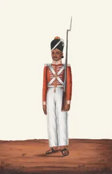 Sepoy, Madras armé