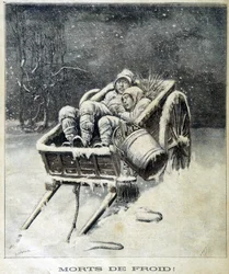 Liten skorstensskorsten i närheten av Fougères Dead from Frost - i "" Le Petit Journal""