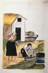 Färgningen av ull, från boken "Trujillo of Peru" eller "Codex Martinez Companion", av Baltazar Martinez Companion och Bujanda, biskop av Trujillo (1782-1785)