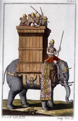 Elefanten som karthagerna använde som djur för arbete och krig. gravyr - i "" Enciclopedia universale illustrata""