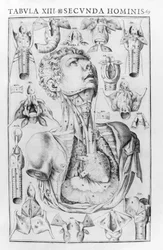 Ferrara 1601
