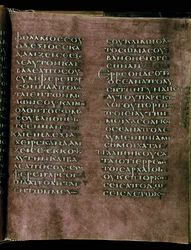 Den purpurfärgade Codex Rossanensis, 600-talet (handskrift)
