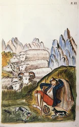 Herden och hans fårflock, från boken "Trujillo del Peru" eller "Codex Martinez Companion", av Baltazar Martinez Companion och Bujanda, biskop av Trujillo (1782-1785)