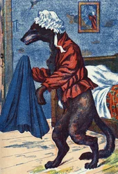 Vargen tar på sig mormoderns kläder. Anonym illustration till "Rödluvan", berättelse av Charles Perrault (1628-1703), fransk författare. Bildmaterial Marcel Vagne, Jarville Nancy, odaterat (slutet av 1800-talet).