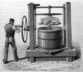 Användning av pressen för att få fram druvrester i Medoc och Cognac. Gravyr från slutet av 1800-talet