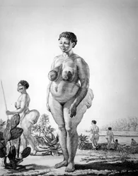 Venus Hottentote i Sydafrika