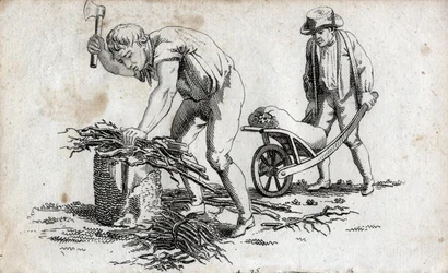 Trägubbar som gör buntar av trä och man som bär buntar på en skottkärra. Slutgravyr av 1700-talet. Privat samling.