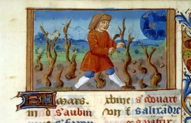 Stjärntecken Vädur och trädstorlek - Miniatyr av medeltiden (ref. 137, 047r) - Begär tillstånd från Toulouses kommunala bibliotek (tel: 05 62 27 66 66)