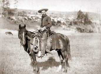 En cowboy till häst - foto