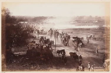 Bagagekolonn under övningslägret i Delhi, 1885 cirka