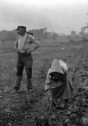 Couple de peasants working la terre, Somme 1921 Fotografi (Franska bönder arbetar på fälten, Somme 1921) Privatsamling
