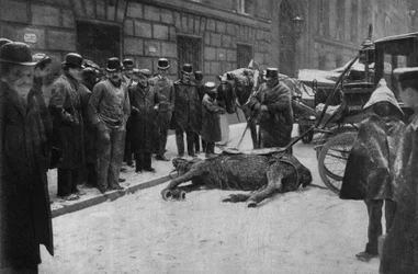 En kopplingshästs död på gatorna i Paris. Fotografi, sent 1800-tal, Paris. Coll. Selva.