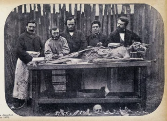 Dissektion, v.1865.