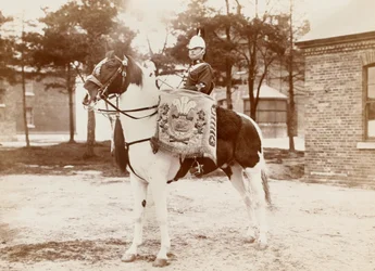 ?Trumhäst, 3rd Prince of Wales?s Dragoon Guards?, 1895 ca.