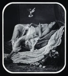 Liggande naken kvinna omkring 1850, anonymt fotografi