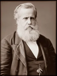 Porträtt av Dom Pedro II (Peter II) (Dom Pedro de Alcantara) (1825-1891), kejsare av Brasilien