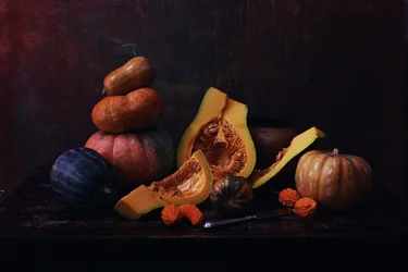 Rustika skördepumpor