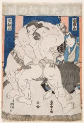 Kamp av sumobrottare. Tryck av Utagawa Kunisada (1786-1865) - Sumobrottare i aktion, av Kunisada (Toyokuni III), Utagawa (1786-1865). Färg träsnitt. Mått: 37,5x26 cm. Privat samling