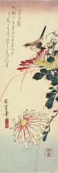(Krysantemum och en hök), 1830-1858