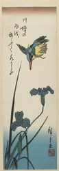 (Iris och Kingfisher), 1843-1847