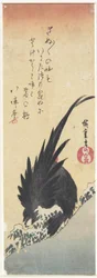 (Tupp), tidigt 1800-tal