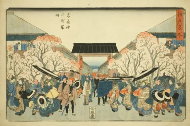 En medlem av Ason at Yoshiwara (Sakura i Yoshiwara), från serien "Fa s a member of Edo (En berömd plats i Edo)"