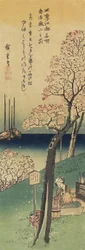 Körsbärsblommor på Gotenyama, våren 1833-1834