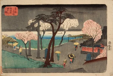 Körsbärsträd i regn på Sumida River Bankment. Sumida zutsumi uchû no sakura