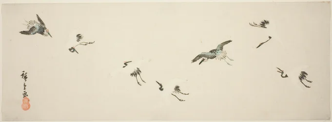Kranar under flygning