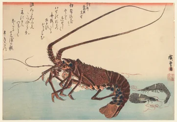 Kräftor och två räkor, från Great Fish-serien (börjad 1832), 1840 (träblock i färg)