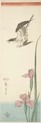 Gök och iris