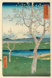 Fuji från Koshigaya, Musashi, nr 14 ur serien ”36 vyer över Fuji”, ”Fuji Saryu Rokkei”