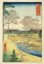 Fuji från Yuhi-Ga, Megwo, nr 10 ur serien «36 vyer över berget Fuji» («Fuji Saryu Rokkei»)