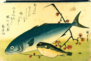 Hiroshige Ett stim fiskar Fugu Yellowtail