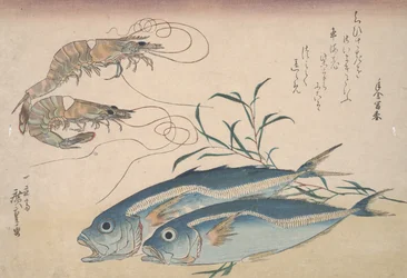 Hästmakrill, sötvattensräkor och sjögräs, ca 1832