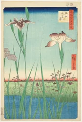Irase s at Horikiri (Horikiri no Hanadokorobe), från serien "Ridge dre d fa net s views of Edo (One Hundred Famous Views of Edo)"