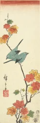 Japanska glasögonfåglar på en lönngren, 1854