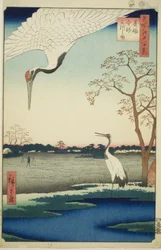 Minowa, Kanasugi, Mikawashima, från serien