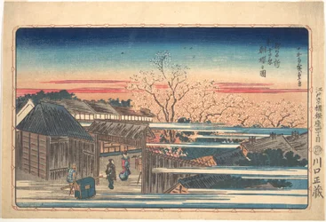 Körsbärsblom på morgonen i Shin-Yoshiwara