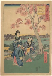 Beskådande av plommonblomning under den tredje månaden vid Sumidafloden, ur serien Årliga händelser på berömda platser i den östra huvudstaden (Tōto meisho nenjū gyōji sangatsu sumitagawa waka mōde)